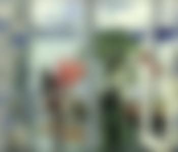 View from a window (preview)