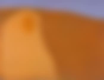 Landscape (preview)