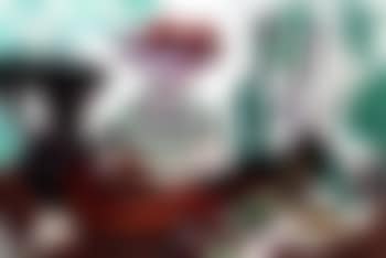 Still life with mandolin (preview)