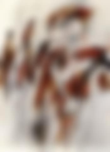 Nr 12/63 (preview)