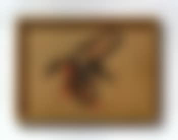 Desert find (preview)