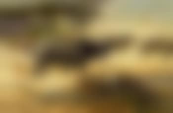 Stampeding of the old bachelor bulls (preview)