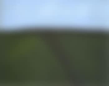 North Otago landscape (preview)