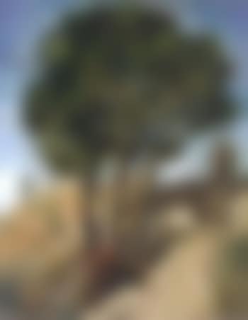 Paysage provencal (preview)