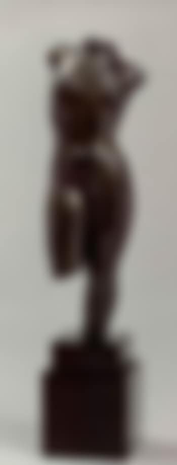 Torse de femme (preview)