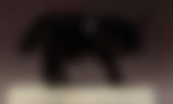 Taureau (preview)