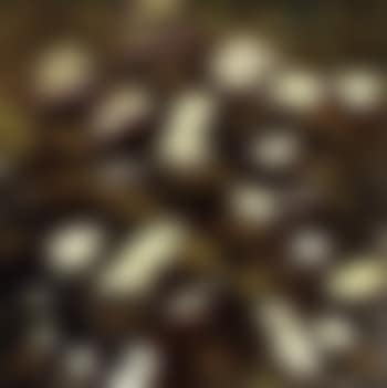 Elderflowers (preview)