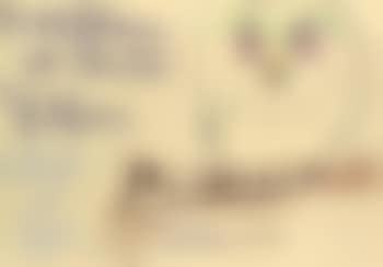 Hibou (preview)