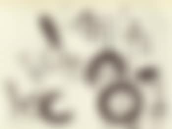 Untitled (preview)