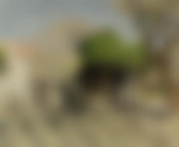 La promenade au soleil (preview)