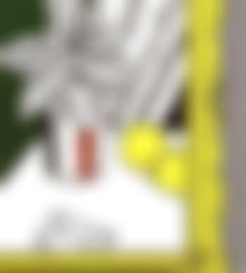 Still life with envelope (preview)