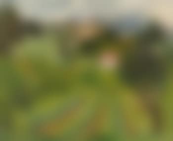 Paysage provencal (preview)