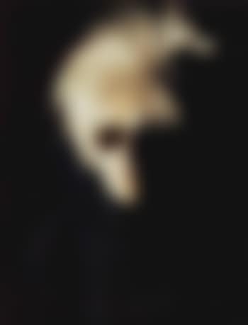 Self-portrait with fright wig (preview)