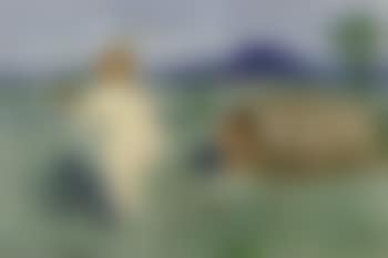 Venus and Diogenes (preview)