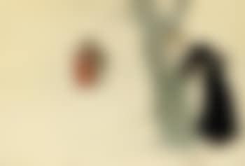 Jealousy (preview)