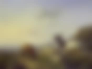 Sheep and goat grazing (preview)