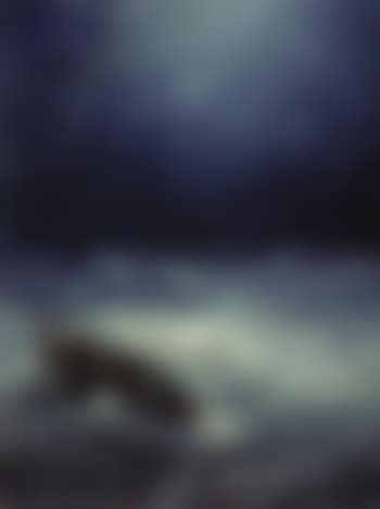 High seas (preview)