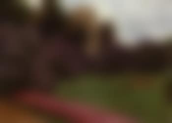 Landscape with blooming lilacs (preview)