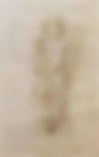 Angel (preview)
