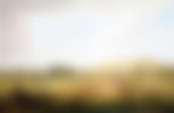 Hayfield near Primrose Hill (preview)