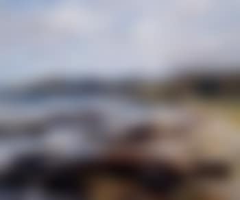Apollo Bay (preview)