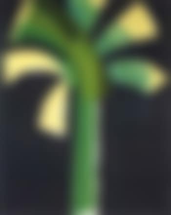 Night palm (preview)