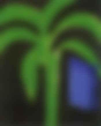Palm and window (preview)