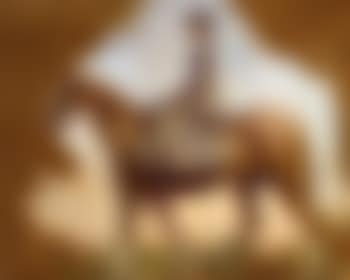 Lady Munnings on horseback (preview)