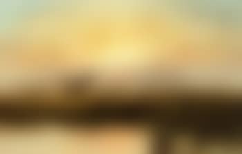 Duck flighting at dusk (preview)