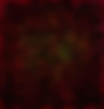 Abstract (preview)