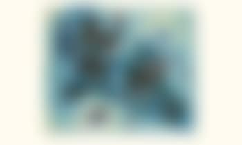 Untitled (preview)