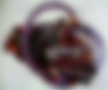 Hi, Rinky Dum (preview)