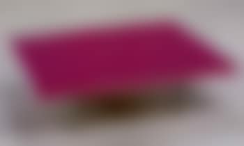 Table rose (preview)