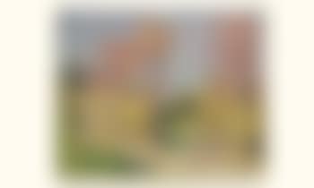 Les grands arbres au printemps (preview)
