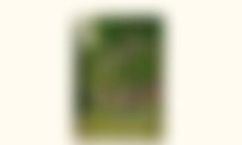 Promenade sous les arbres (preview)