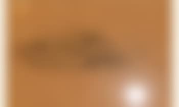 Femme nue couchee (preview)