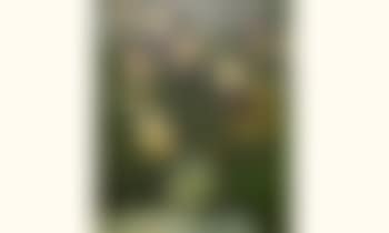 Bouquet de fleurs (preview)