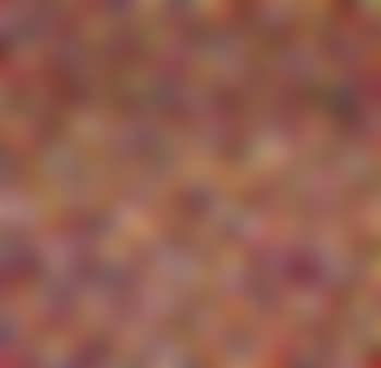 Oggi sedicesimo giorno undicesimo messe dell'ano - Today 16th day (preview)