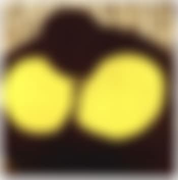 Four lemons (preview)