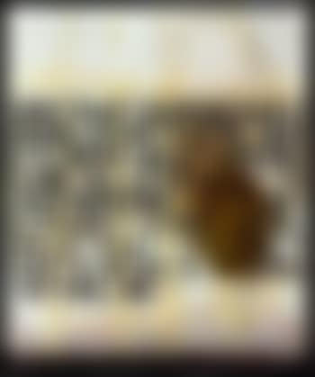 See that gorgeous babe over there (preview)