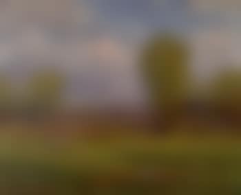 Evening landscape (preview)