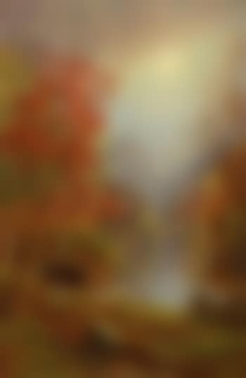 In the Ramapo Valley (preview)