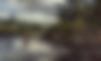Trout stream in Maine (preview)