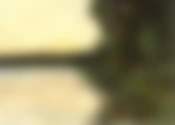Grunewaldsee with trees on shore (preview)