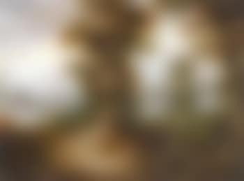 Landscape with trees and birds (preview)