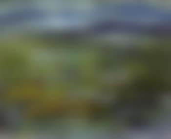 Lakeside (preview)