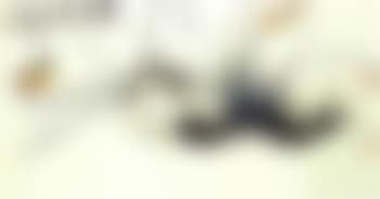 Cat lying among flowers (preview)