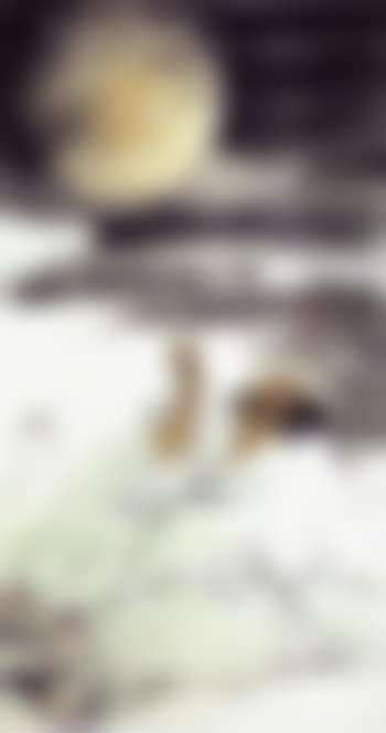 Poet Li Bai drinking in moonlight (preview)