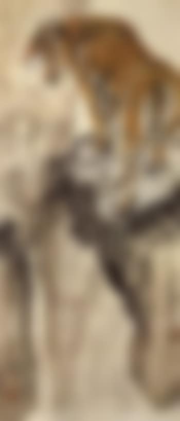 Tiger (preview)
