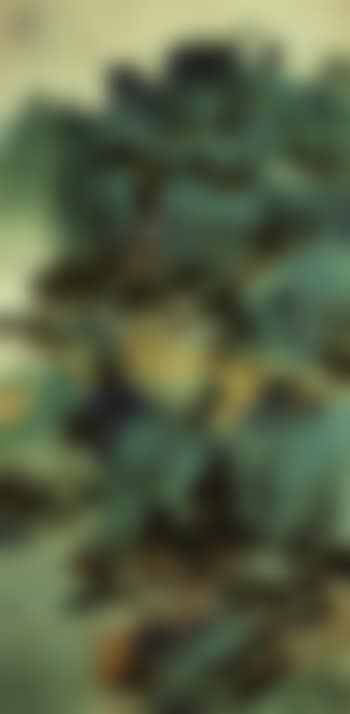 Luxuriant pines (preview)